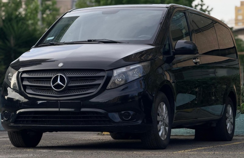 Minivan para servicios especiales
